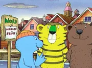 Antje verabschiedet sich schon mal ivon ihren Freunden Tiger und Bär. Sie will am Nordkap ihre Familie treffen.