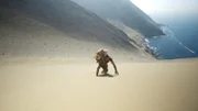 Hazen steht in der Nähe des Ozeans. (National Geographic/Tess Benjamin)