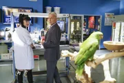 Suizid oder Mord? Während Gibbs (Mark Harmon, r.) und Abby (Pauley Perrette, l.) nach einer heißen Spur im Fall Erin Hills suchen, bringt Abby auch noch ihren Papagei mit zur Arbeit - nicht gerade zur Freude ihres Chefs ...