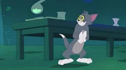 Tom