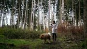 Ein Spaziergang im Wald hilft Sabrina, nach einem Streit wieder zur Ruhe zu kommen.