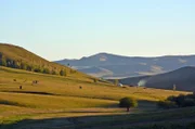 Der Norden der Mongolei ist grün und bietet Weidelandschaften für die nomadischen Viehhierten.