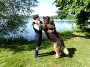 Maurice Neef und sein Hund, der Leonberger Rüde Endor, sind Teil eine 19-köpfigen Rettungshundestaffel im Südwesten.