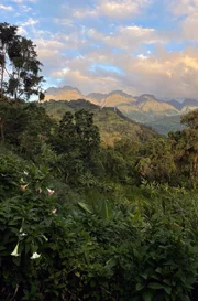 Blick auf das Ruwenzori-Gebirge