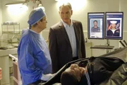 Was hat der ermordete Bootsmann mit dem vermissten MI6 Offizier zu tun? Noch tappen Gibbs (Mark Harmon, M.) und Ducky (David McCallum, l.) gewaltig im Dunkeln ...