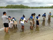 Location: Boca Raton, FL, USA: The students of Galaxy Elementary work together to find specimen's for their school's new aqauarium.