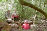Amazonien galt lange als menschenverlassenes Gebiet, in dem in früherer Zeit nur ganz wenige Jäger und Sammler überlebt hatten. Doch in Französisch-Guayana weisen Archäologen nun nach, dass das Amazonasbecken in Wirklichkeit gar nicht so unberührt war.