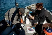 Timothy Leech and Amanda Makar get ready for the halibut hunt.