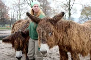 Ramona Schiele bei der Wundversorgung des Poitou-Esels.
