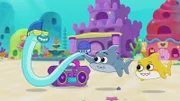 Shadow (m.), Baby Shark (r.)