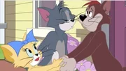 v.li.: Toodles, Tom, Meathead Cat