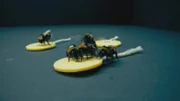 Experimente mit Hummeln deuten darauf hin, dass Insekten klüger und verspielter sind, als wir bisher dachten. Bedeutet das, das auch sie eine Seele haben?