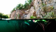 Ober- und Unterwelt: Wie eine Grenze zwischen zwei Universen wirkt hier die Wasseroberfläche.