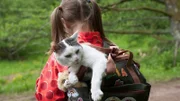 Katzenjammer - 2;