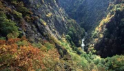 Die Bode hat sich tief in die Harzer Berge eingegraben und ein steiles Tal geschaffen.