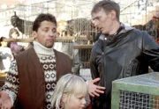 Händler (Patrick Bach), Merle (Elisa Pries) und Malte (Jan Hendrik Heinzmann).