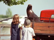 Moritz (Karl-Alexander Seidel) und Nele (Anja Stührk) schließen Robbe William sofort in ihr Herz.