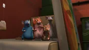 Katzenalarm im Hauptquartier der Muskeltiere.