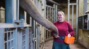 Rüssel von Elefant Tefi mit der Tierpflege-Azubi Lea im Zoo Münster.