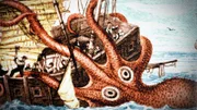 Der Kraken