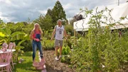 Enikö und Wendelin ernten fleißig Gemüse, doch ausgerechnet die Gurken sorgen für Schmunzler.