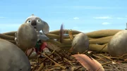 Blinky und Jacko geraten in Gefahr, als sich das Adlerweibchen dem Horst nähert.