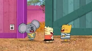 Findet die Party beim Koala statt?