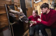 Beim Bongo-Füttern: Tierpflegerin-Azubi Lea mit Ausbilder Sven im Allwetterzoo Münster.