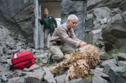 Auf eigene Faust im Leopardenkäfig. Studentin Sina Mayer (Antonia Breidenbach, r.) begibt sich unbewusst in höchste Gefahr! Conny Weidner (Thorsten Wolf, l.) versucht Schlimmeres zu verhindern.