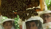 Eine Kindergarten-Gruppe kümmert sich gemeinsam mit einem Imker um Bienenstöcke auf dem Außengelände des Kindergartens.