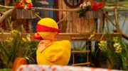 Schnatterinchen darf nicht sehen, wohin die Reise geht.
