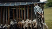 Bergbauer und Künstler Heinrich Untergantschnig bei seinen Schafen während ServusTV's "Heimatleuchten: Hier lässt sich´s leben - Entlegene Winkel" beim Grafenberg im Mölltal, Kärnten, Österreich.