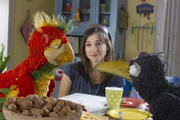 Papagei Loro ist ein echt schräger Vogel und will Siebenstein (Henriette Heinze) und dem Raben Rudi seine Kunststücke vorführen, zum Beispiel Nässe knacken mit dem Schnabel.