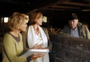Maren (Uschi Glas, li.) erfährt, dass Maxi (Sabine Bach) auch eine Tochter von Maximilian (Horst Sachtleben) ist.