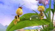"Die Biene Maja", Wie haben wir sie vermisst! Die berühmteste Biene der Welt, unsere kleine, feine, freche, schlaue Maja, ist wieder da und hat sich aus diesem Anlass ganz toll herausgeputzt! Dank moderner 3D-Optik schwirrt Maja nun im neuen Look über die Klatschmohnwiese: gestochen scharf, sehr lebensecht und ungeheuer liebenswert präsentiert sich der süße Blondschopf bei jedem seiner Auftritte. Als treue Begleiter stets an Majas Seite sind auch diesmal ihre beiden Freunde: der dicke, faule Willi und Grashüpfer Flipp.
