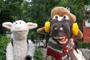 Pferd hat alle Regeln satt! Darum trägt er Winterkleidung im Hochsommer...