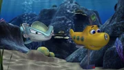 Timmy versucht mit seinem hochmodernen Metalldetektor einen portablen Computer zu finden, den Dr. Kate unter Wasser verloren hat. Scout hilft ihm dabei.