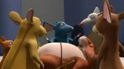 Ein schlafender Hamster ist schwer wie Blei.
