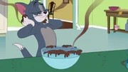 Tom