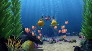 Timmy und Bess evakuieren die Fische in der Bucht.