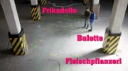 Julian mit Sprachforscher Simon Pröll auf einer "Dialekt-Deutschlandkarte" in einer Fabrik in Dachau. Drei Namen für dasselbe: einen gebratenen Hackfleisch-Kloß.
