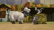L-R: Mort, Randy, Maurice, Julien