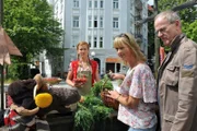 Pferd hat alle Regeln satt! Darum trägt er Winterkleidung im Hochsommer, badet auf der Strasse und drängelt sich an Wolke Hegenbarths (hinten) Marktstand einfach vor...
