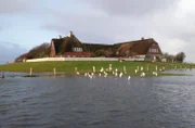 Süderoog gehört zu den zehn Halligen, die es heute im nord-friesischen Wattenmeer noch gibt. Fast alle anderen wurden vor langer Zeit von schweren Sturmfluten verschlungen. Den kleinen Restbestand zu erhalten, ist eine ganz wichtige Aufgabe. Auf Süderoog stellen sich die Pächter Nele Wree und Holger Spreer-Wree seit mehr als zehn Jahren dieser Herausforderung Tag für Tag.