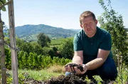 Einen Weinberg bei Bühl in ein Selbstversorgerparadies umzugestalten ist die Vision von Frank Fröhlich. Der Winzersohn wollte den konventionellen Rebenanbau aus ökologischen Gründen nicht fortführen und versucht nach den Regeln der Permakultur den ausgelaugten Boden wieder zu beleben.