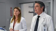 Zwei Starchirurgen sind sich einig: Ellen Pompeo als Dr. Meredith Grey, Peter Gallagher als Dr. David Hamilton
