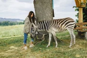 Katja Baumann (Simone Thomalla) traut ihren Augen nicht: In Frühling wurde ein Zebra ausgesetzt.