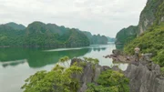 Neahga Leonard ist Geologe und Biologe und leitet auf der Hauptinsel der Halong Bucht ein Schutzgebiet für Goldkopflanguren, eine Affenart, die es nur in der Halong Bucht gibt.