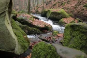 Schluchten mit wilden Bächen durchziehen vielerorts den Pfälzerwald. Die wildromantische Karlsschlucht ist eine der Schönsten.
