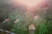 Ungewöhnliche Unterkünfte im Schwarzwald: Stefanie und Josef Huber haben in Oberkirch in der Ortenau fünf Baumhäuser an ihren Rebberg gebaut.